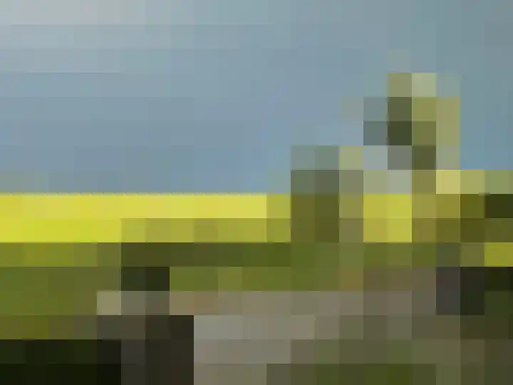 Warmelo 5 Leusden thumbnail 40