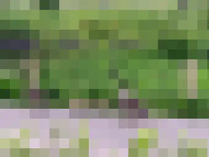 Warmelo 5 Leusden thumbnail 42