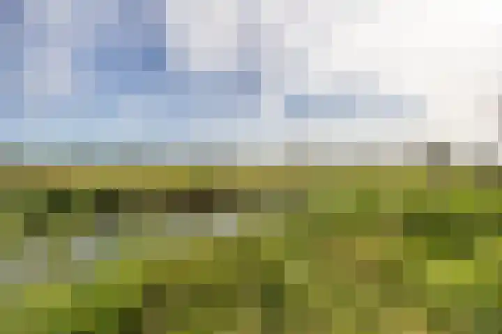 Warmelo 5 Leusden thumbnail 45