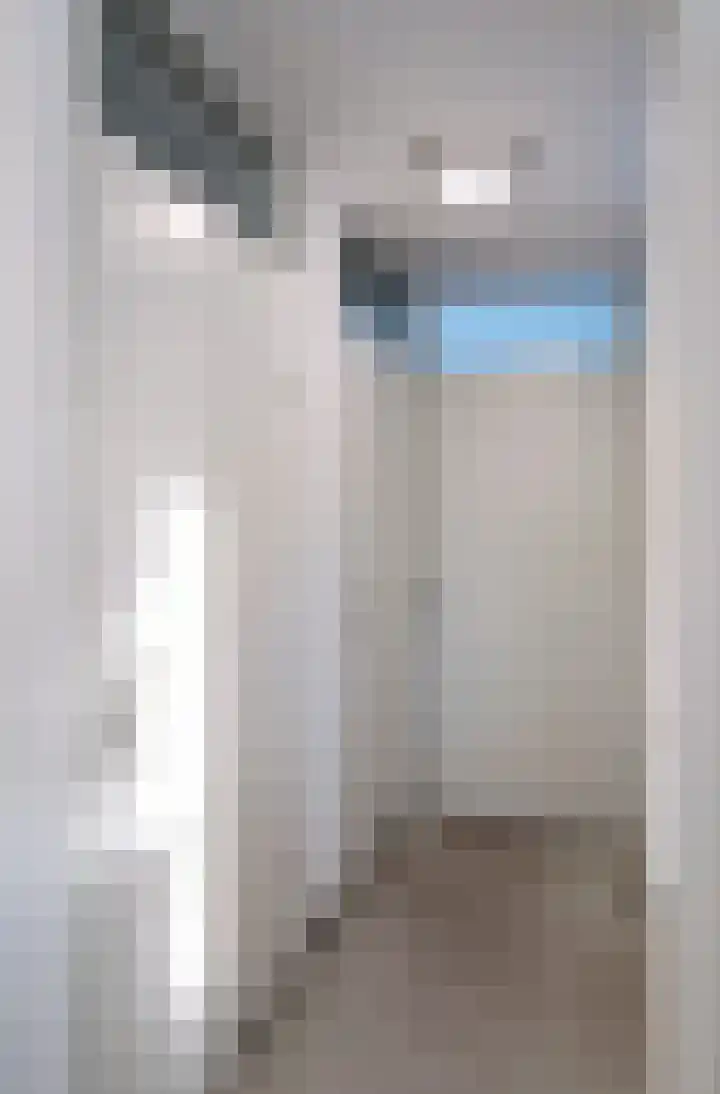 Warmoeshof 22 Bemmel thumbnail 6
