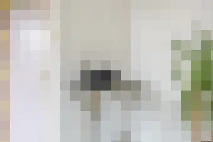 Warmoesstraat 96 Wormerveer thumbnail 20