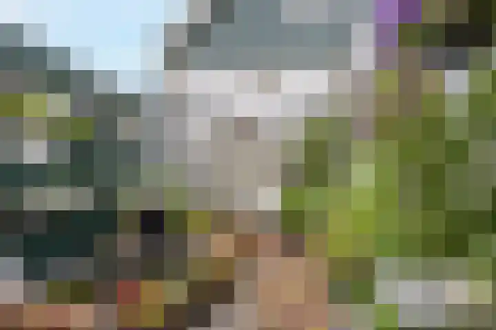 Warmoesstraat 96 Wormerveer thumbnail 29