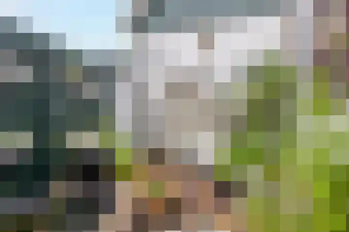 Warmoesstraat 96 Wormerveer thumbnail 30