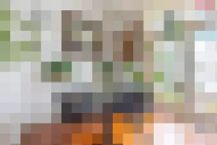 Warmoesstraat 96 Wormerveer thumbnail 6