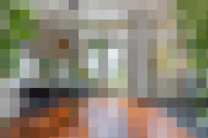 Warmoesstraat 96 Wormerveer thumbnail 9
