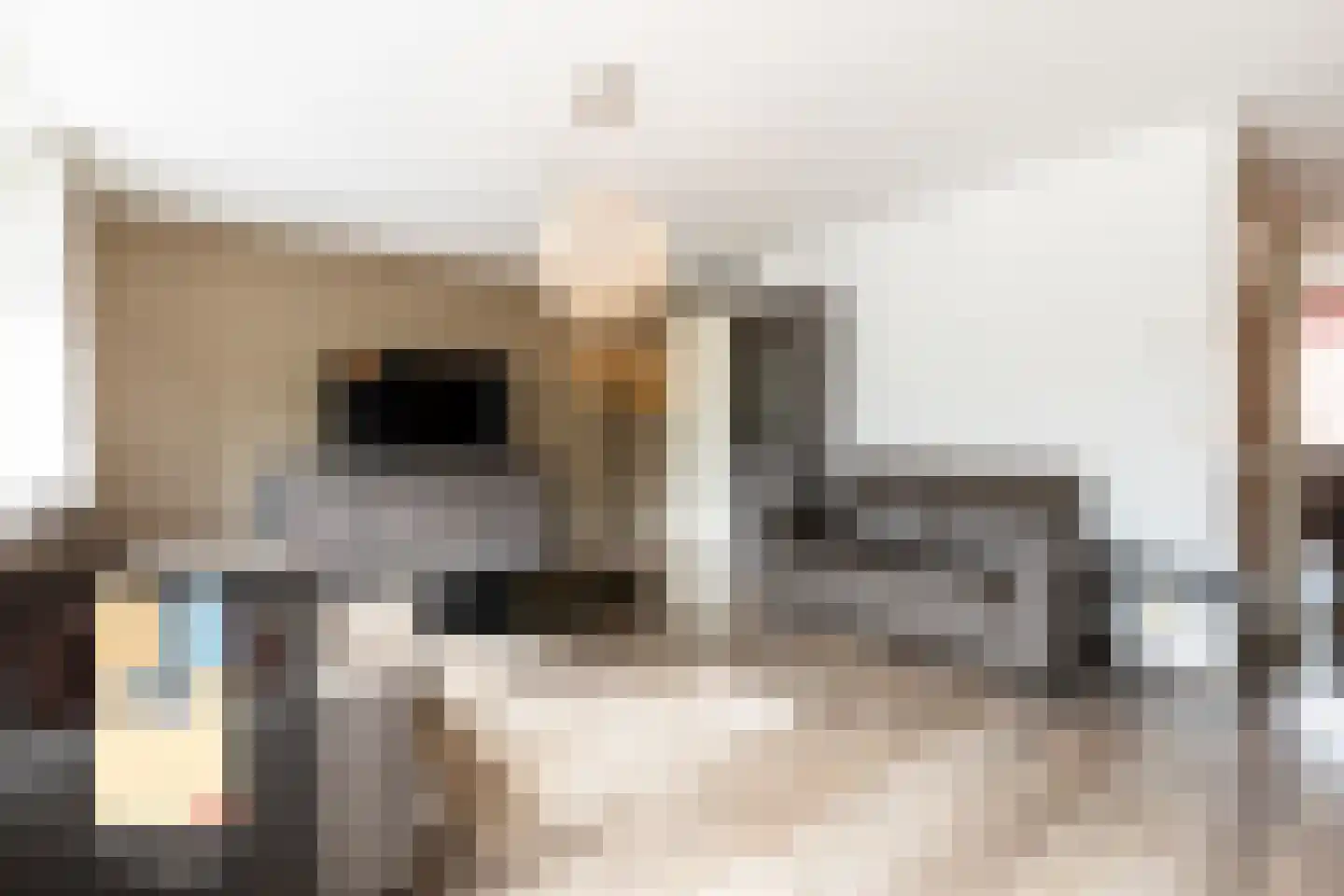 Warmoezenierstraat 6 Brielle thumbnail 14