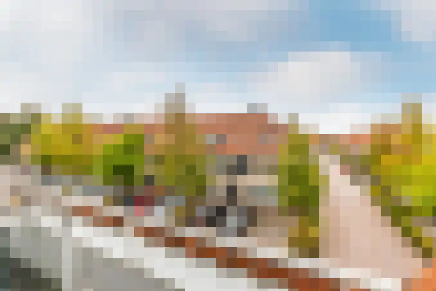 Warmoezenierstraat 6 Brielle thumbnail 26