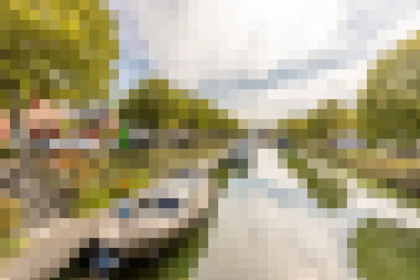 Warmoezenierstraat 6 Brielle thumbnail 34