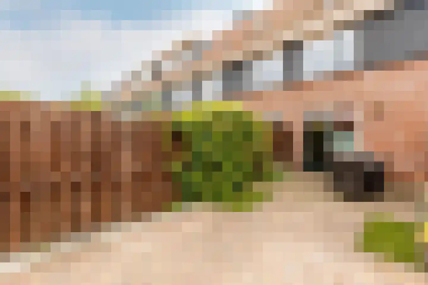 Warmoezenierstraat 6 Brielle thumbnail 4