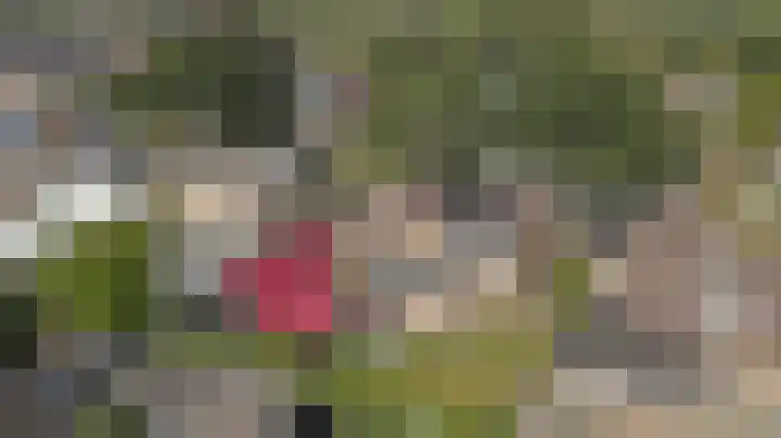 Warmoltsstrjitte 48 Harkema thumbnail 32