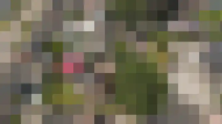 Warmoltsstrjitte 48 Harkema thumbnail 34