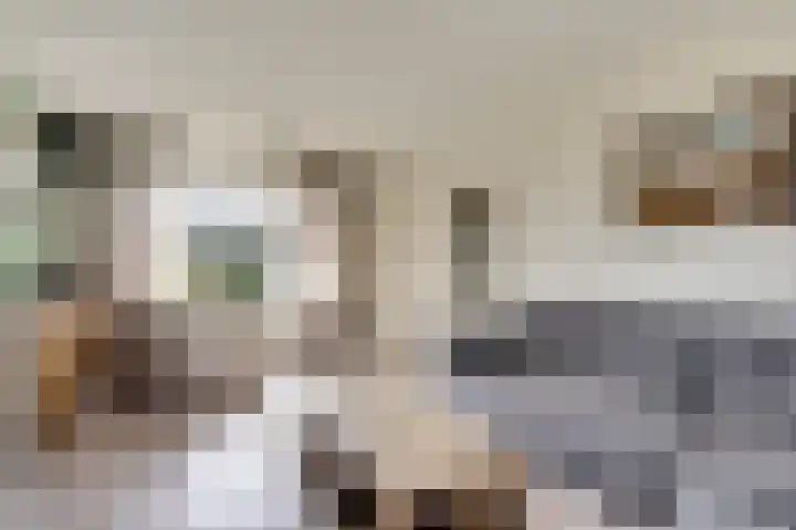 Warmoltsstrjitte 48 Harkema thumbnail 7