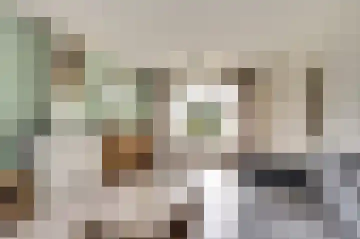 Warmoltsstrjitte 48 Harkema thumbnail 8