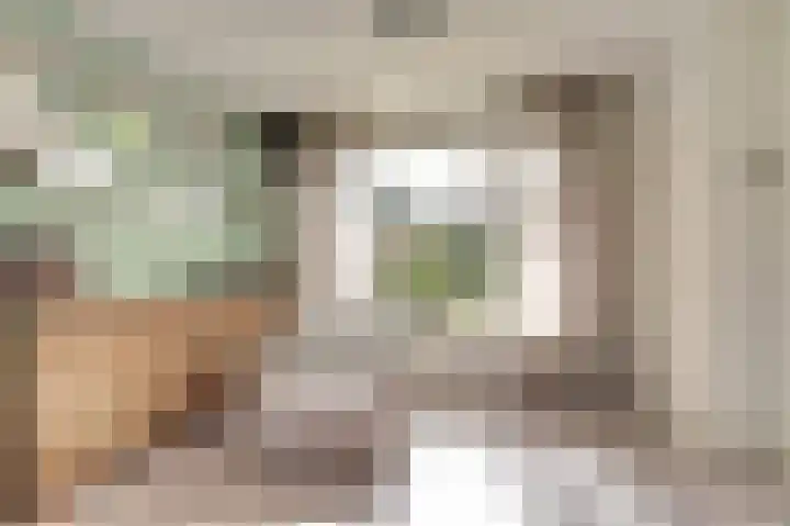 Warmoltsstrjitte 48 Harkema thumbnail 9