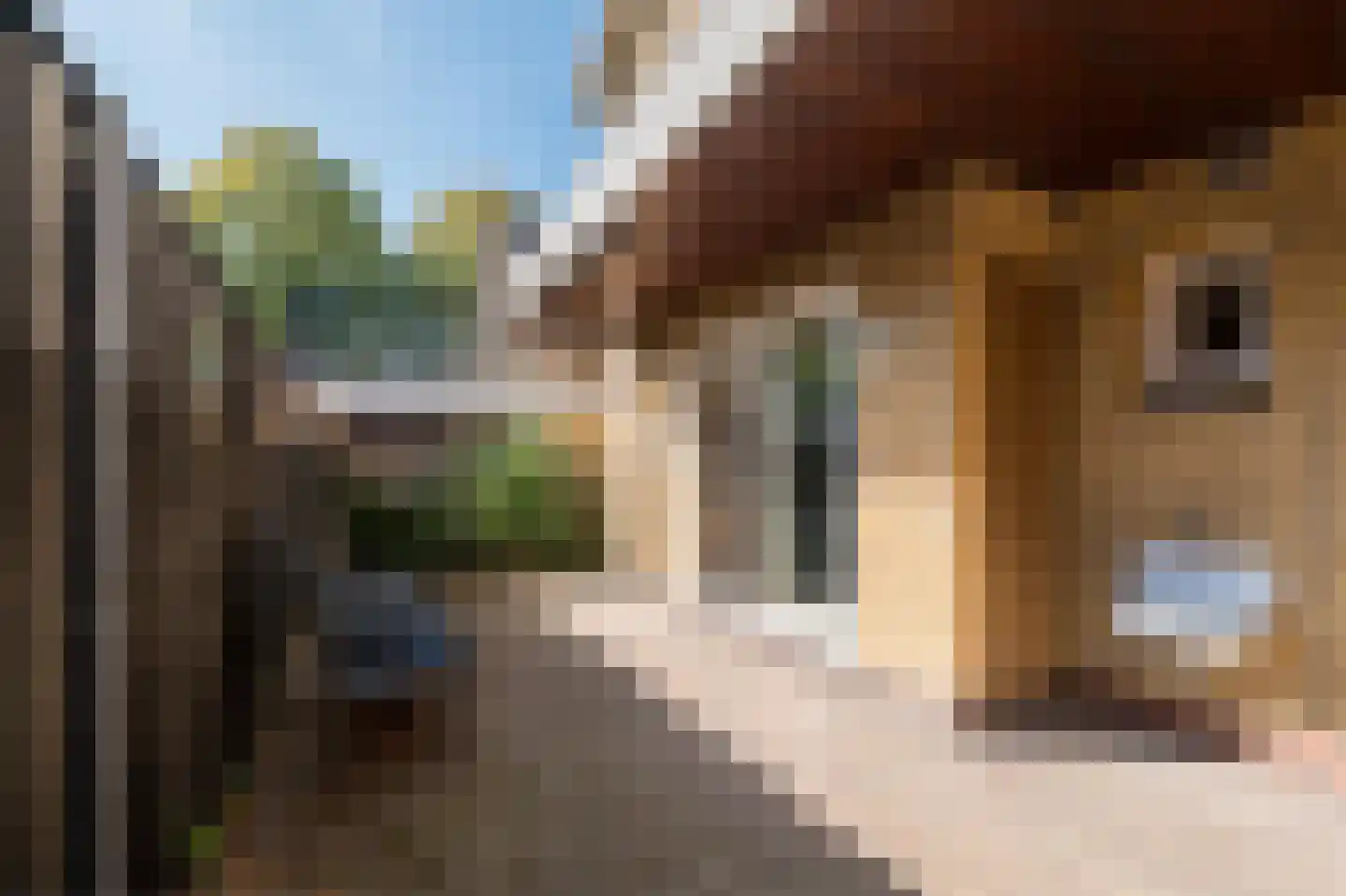 Warmoltsstrjitte 56 Harkema thumbnail 33