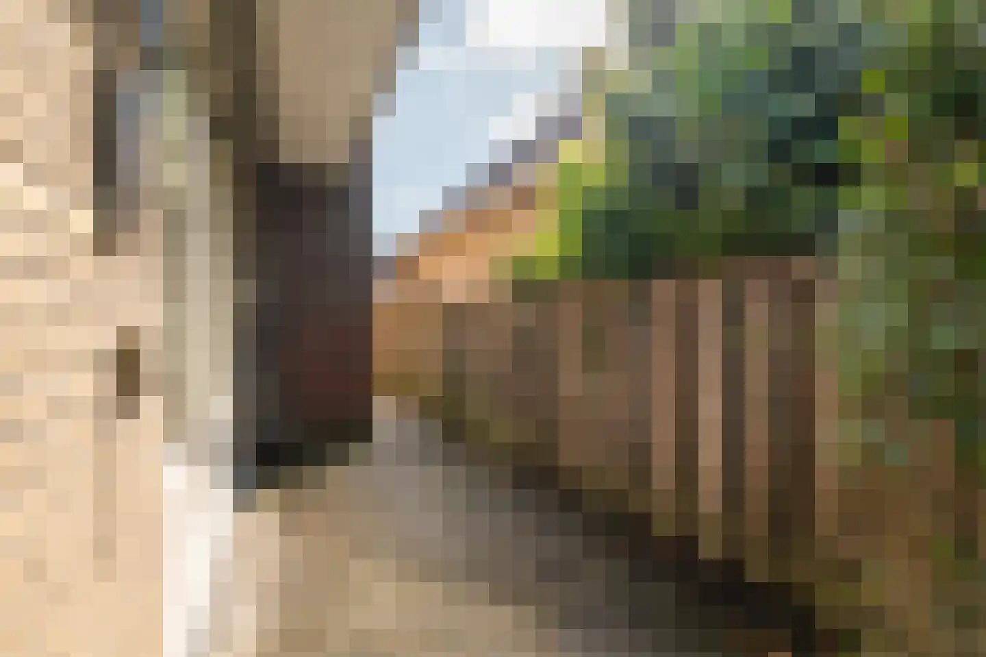 Warmoltsstrjitte 56 Harkema thumbnail 35