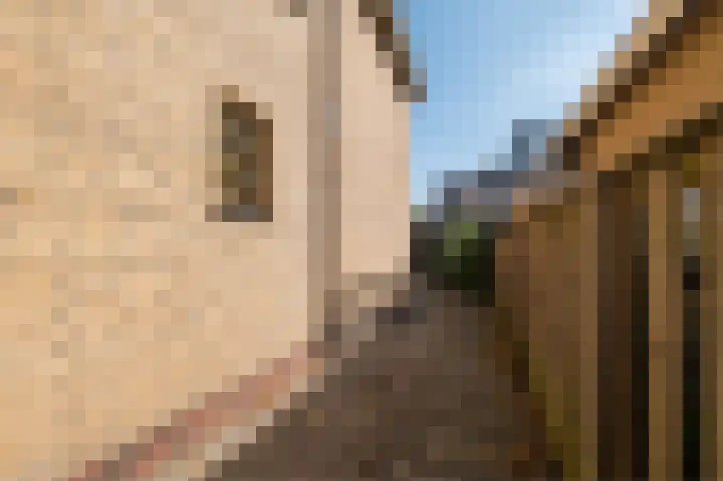 Warmoltsstrjitte 56 Harkema thumbnail 37