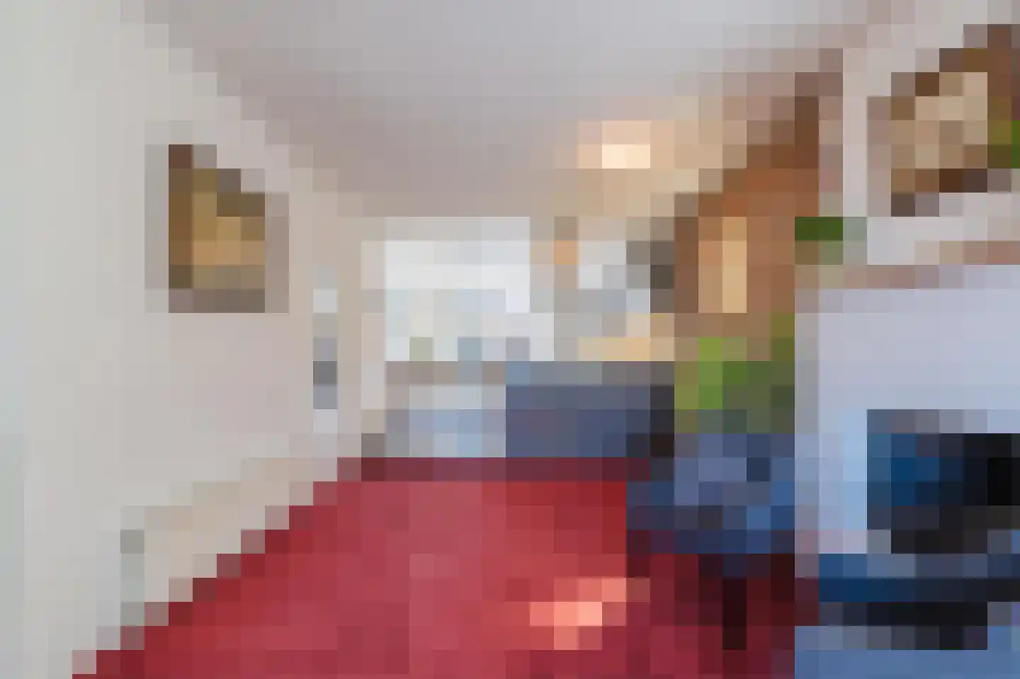 Warmoltsstrjitte 56 Harkema thumbnail 9
