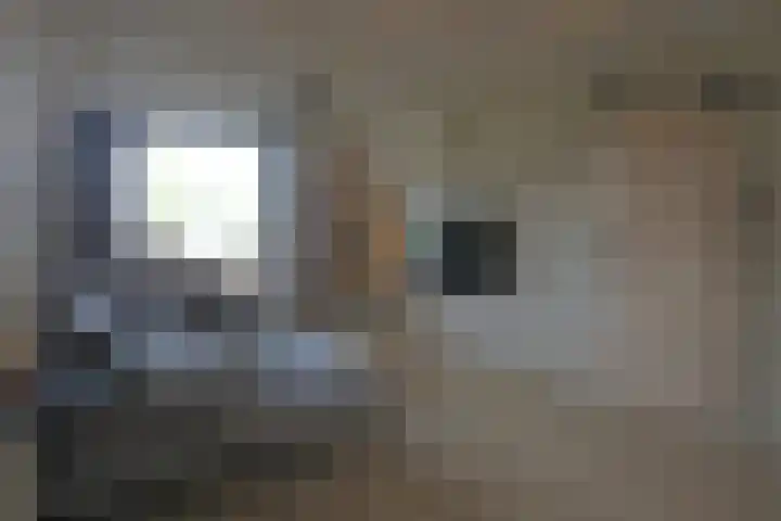 Warmoltsstrjitte 68 Harkema thumbnail 19