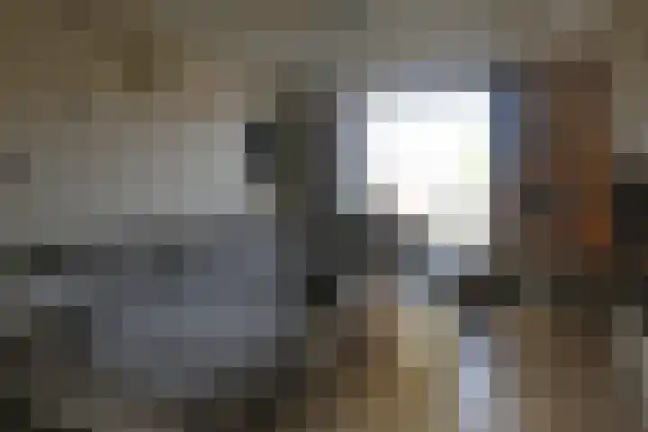 Warmoltsstrjitte 68 Harkema thumbnail 20