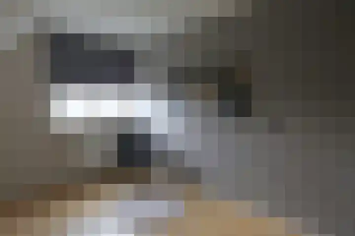 Warmoltsstrjitte 68 Harkema thumbnail 30