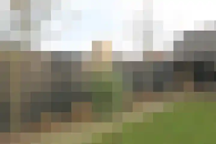 Warmoltsstrjitte 68 Harkema thumbnail 34