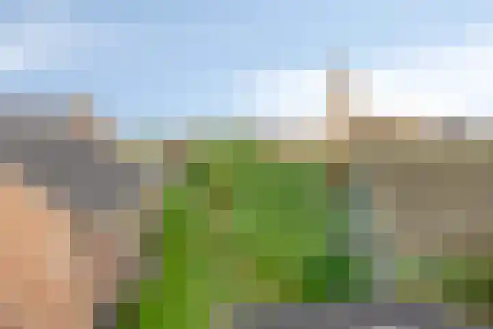 Warmondplein 1 Hank thumbnail 40