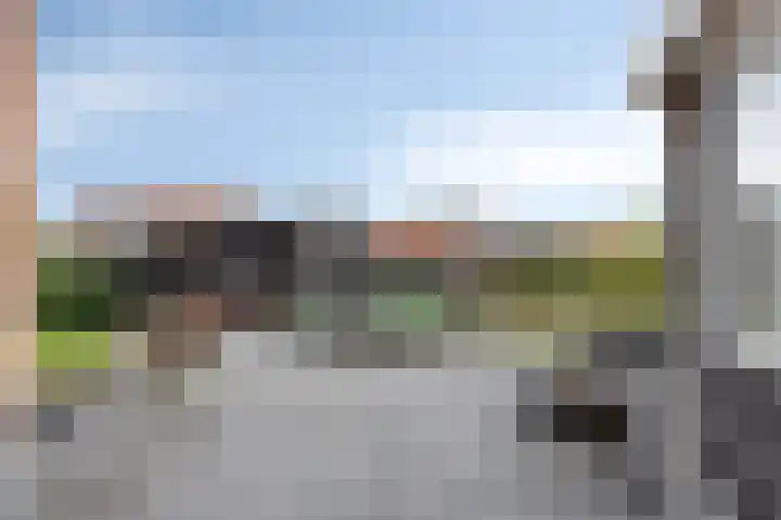 Warmondplein 1 Hank thumbnail 45