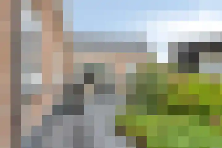 Warmondplein 1 Hank thumbnail 46