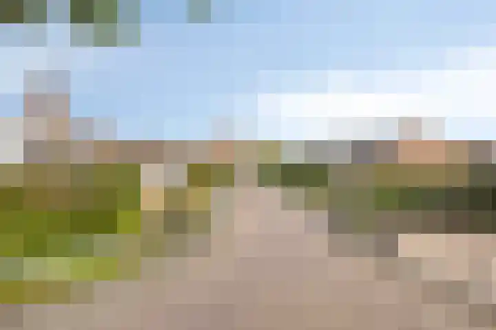 Warmondplein 1 Hank thumbnail 5
