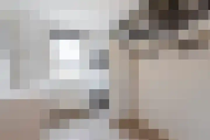 Warmondstraat 13 Hank thumbnail 29