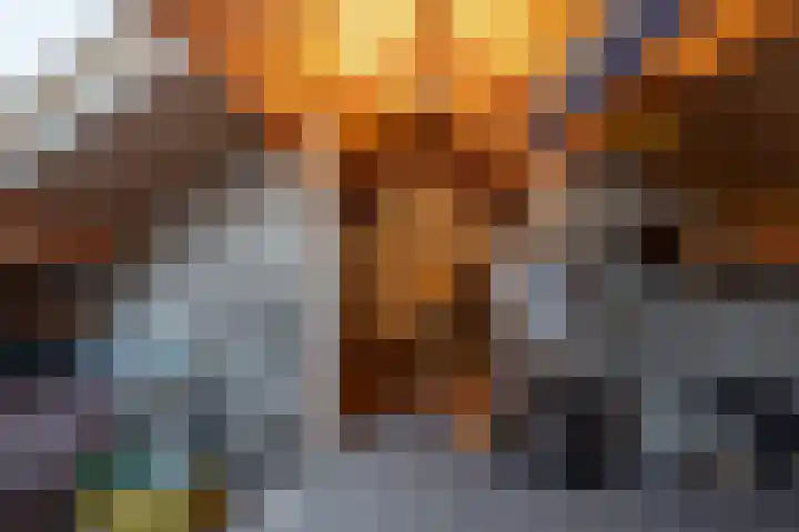 Warmondstraat 13 Hank thumbnail 31