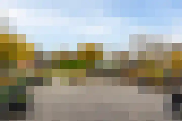 Warmondstraat 13 Hank thumbnail 8
