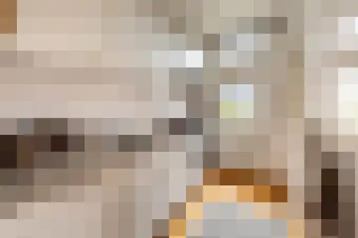Warmondstraat 204 2 Amsterdam thumbnail 12