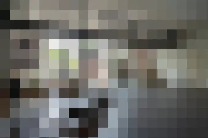 Warmseweg 2 Etten thumbnail 13