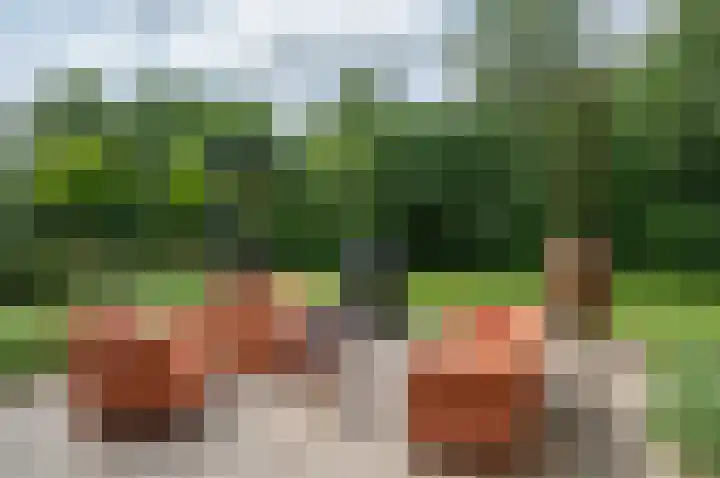 Warmseweg 2 Etten thumbnail 48