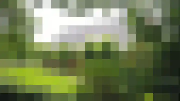 Warmseweg 2 Etten thumbnail 51