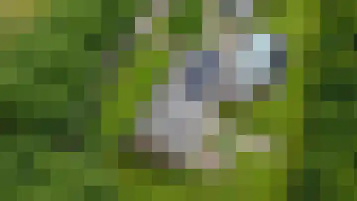 Warmseweg 2 Etten thumbnail 56