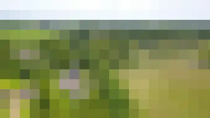 Warmseweg 2 Etten thumbnail 58