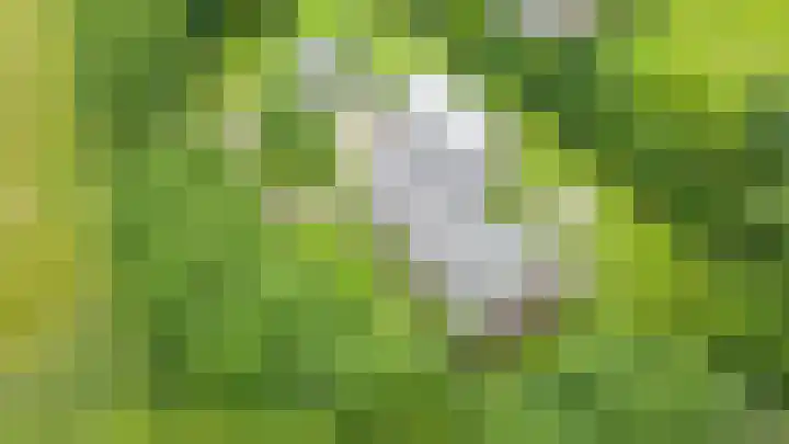Warmseweg 2 Etten thumbnail 59