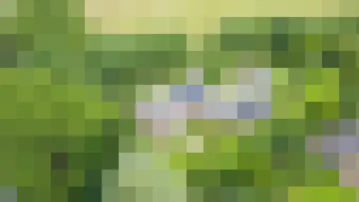 Warmseweg 2 Etten thumbnail 60