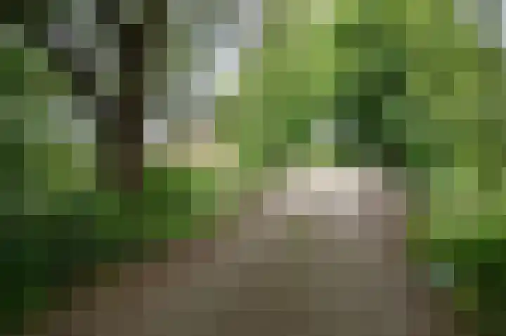 Warmseweg 2 Etten thumbnail 68