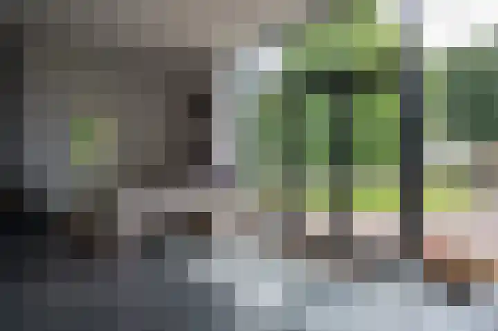 Warmseweg 2 Etten thumbnail 7