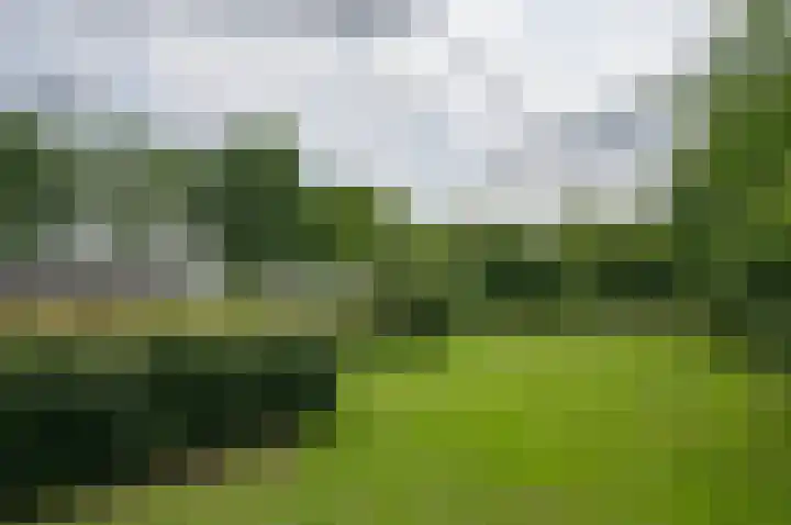 Warmseweg 2 Etten thumbnail 75