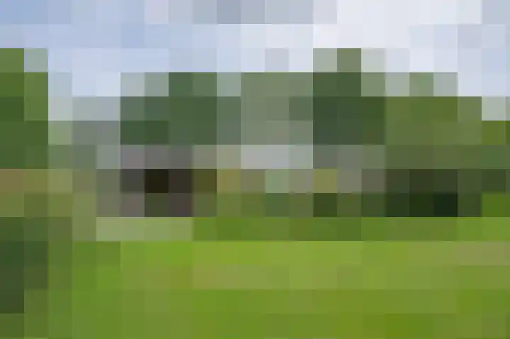 Warmseweg 2 Etten thumbnail 76