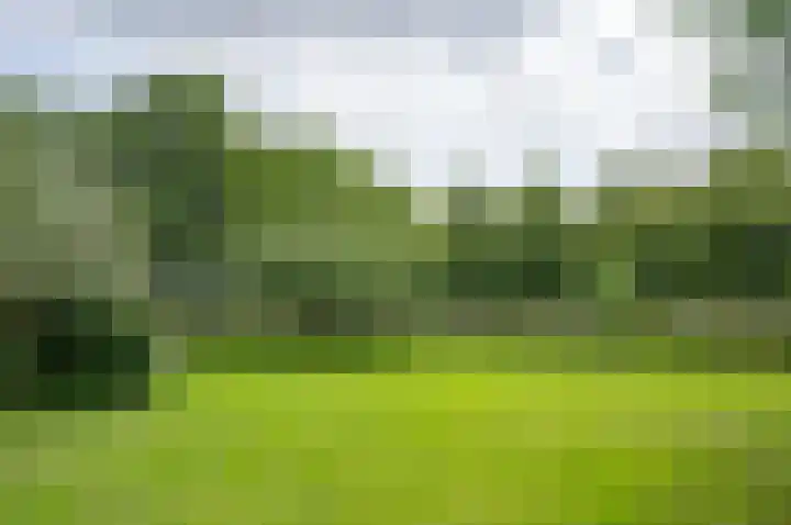Warmseweg 2 Etten thumbnail 77