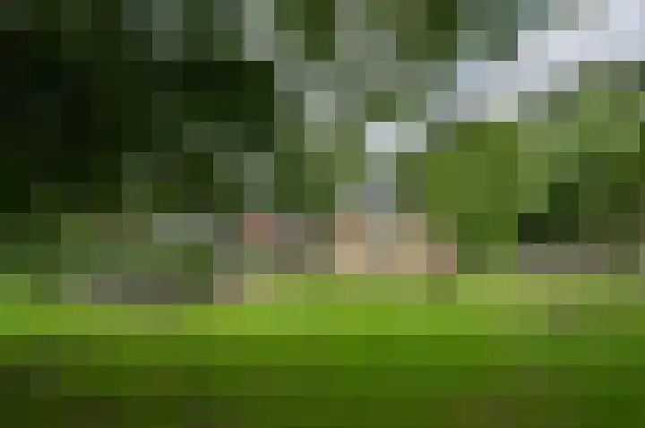 Warmseweg 2 Etten thumbnail 79