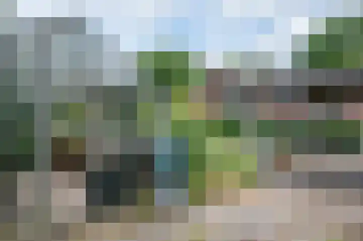 Warmseweg 2 Etten thumbnail 80