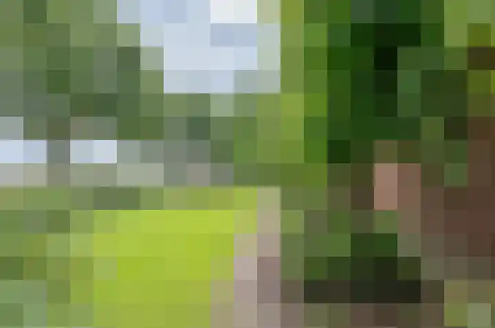 Warmseweg 2 Etten thumbnail 89