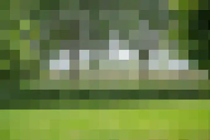 Warmseweg 2 Etten thumbnail 90